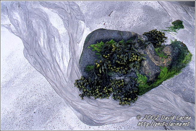 Beach Abstraction - Best of 2002, Norway