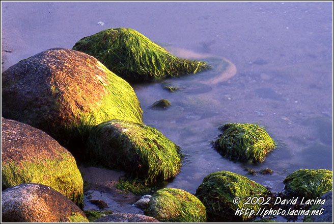 Stones At østerøya - Best of 2002, Norway