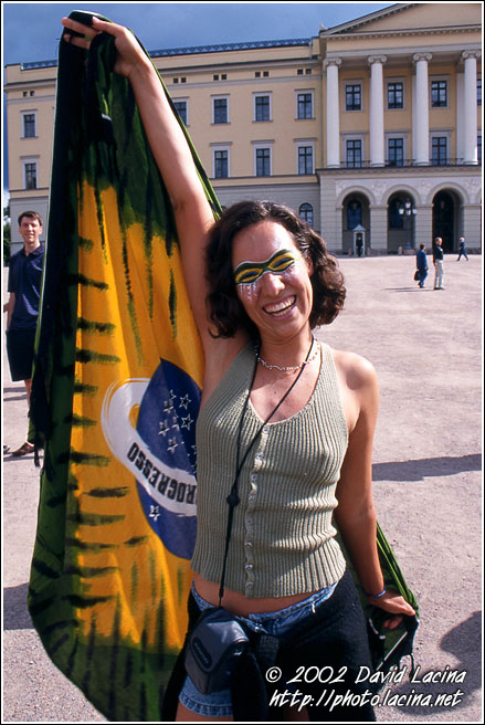 Brazilian Celebration - Best of 2002, Norway