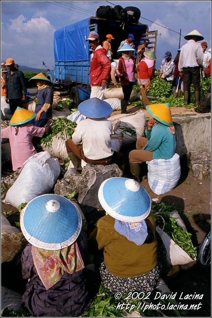 Selling Tea - Kerinci, Indonesia