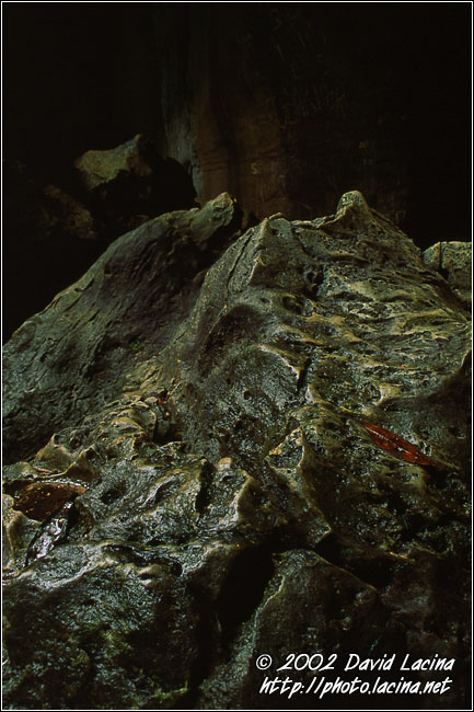 Bat Cave, Bukit Lawang - Lake Toba, Indonesia