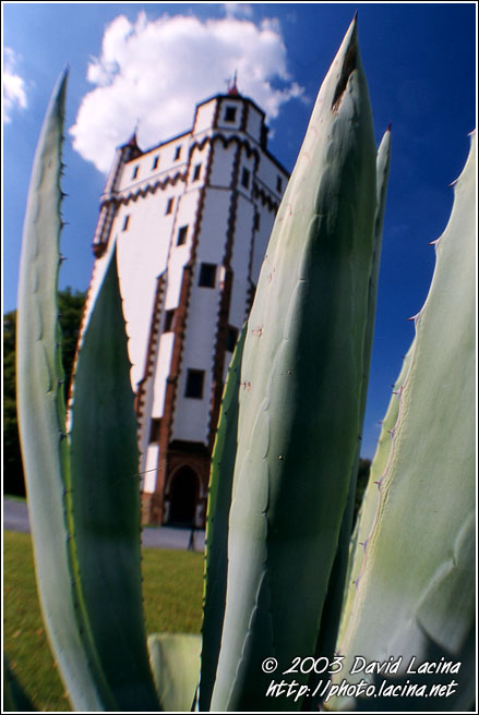 Cactus Castle - Northern Moravia, Czech republic