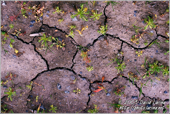Soil Abstraction I. - Best of 2003, Norway