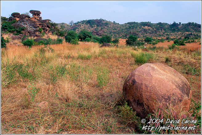 Stone In Talensi Bush - Talensi land, Ghana