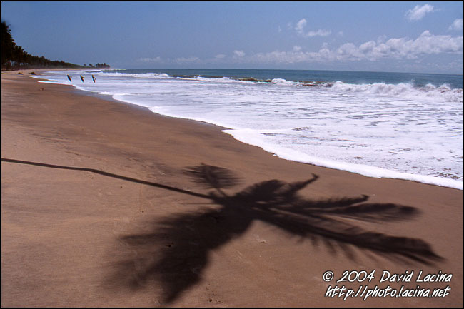 Beach Idyl - Brenu beach, Ghana