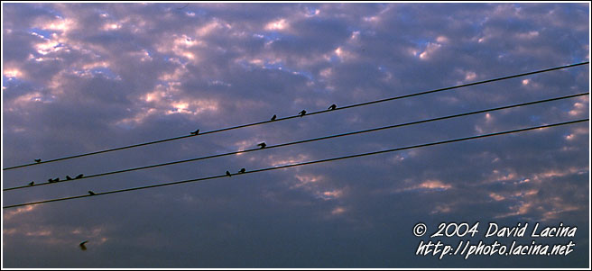 Wires, Birds And Clouds - Panoramas, Ghana