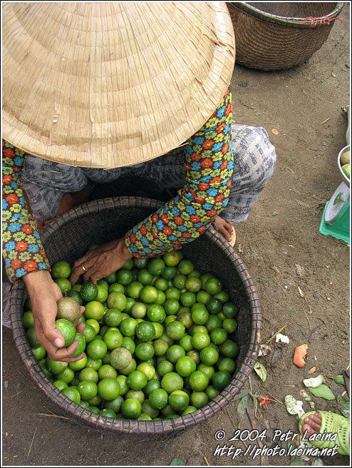 Seller On A Local Market - Vietnam In Color, Vietnam