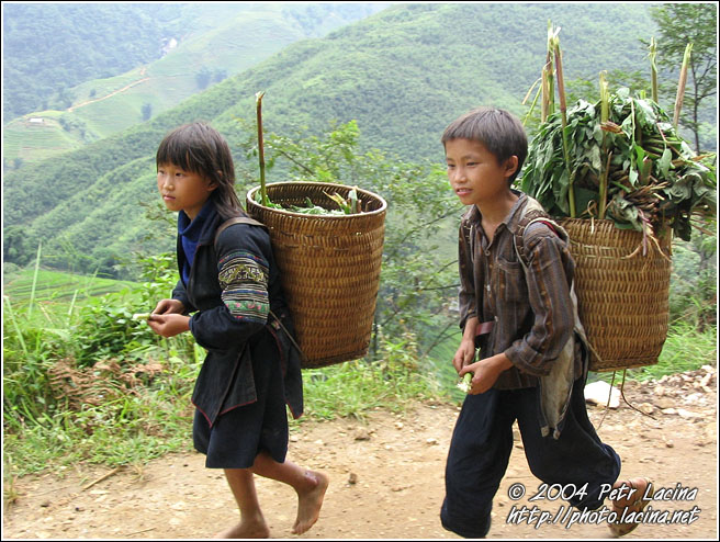 Tribal Kids - Vietnam In Color, Vietnam