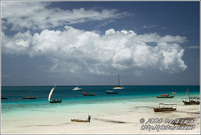 Coast Scenery - Northern Zanzibar, Tanzania