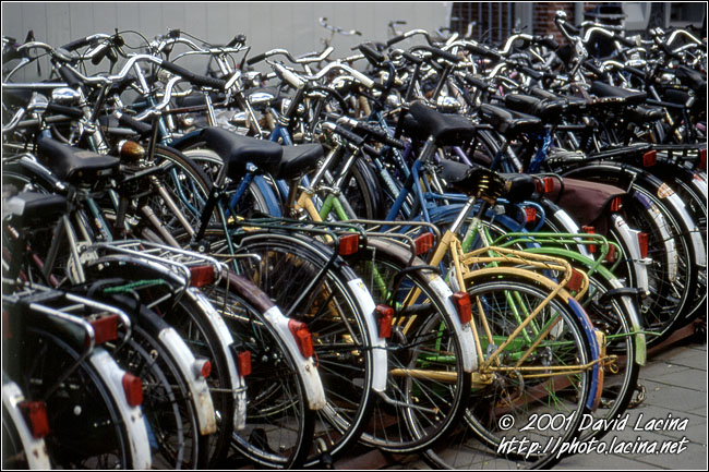 Bikes In Leiden - Best Of Netherlands, Netherlands