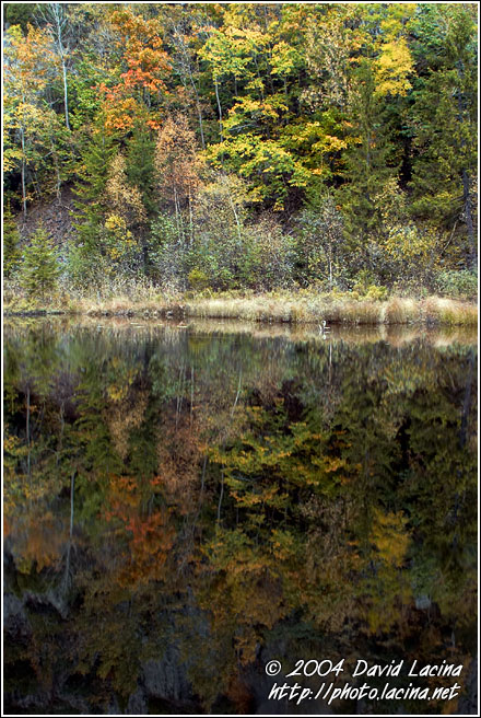 Swamp In The Autumn - Best of 2004, Norway