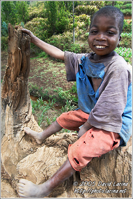 Humble And Friendly - People Of Usambara Mountains, Tanzania