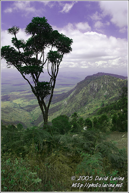 Usambara Landscape - Colorized Tanzania, Tanzania