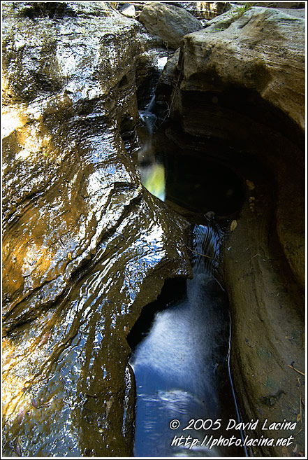 Stream In Lower Gorge - Hell's Gate, Kenya