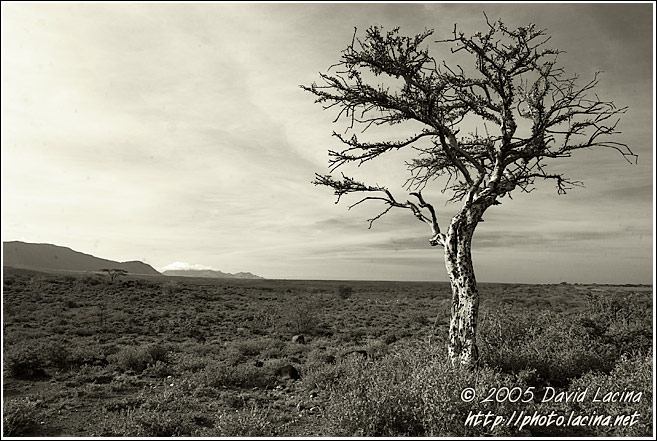 Black And White Dreams - The Suguta Valley-Nature, Kenya