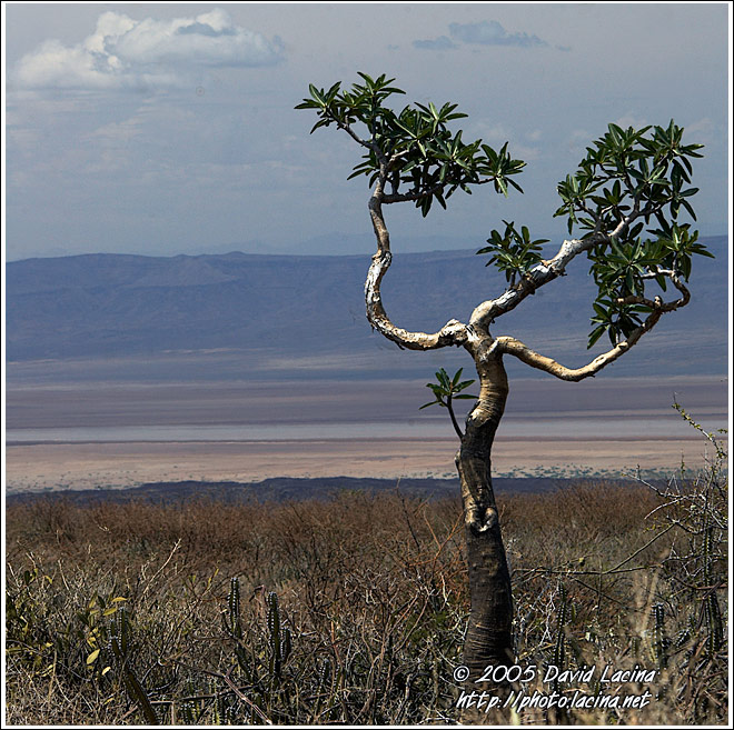 Resistance - The Suguta Valley-Nature, Kenya