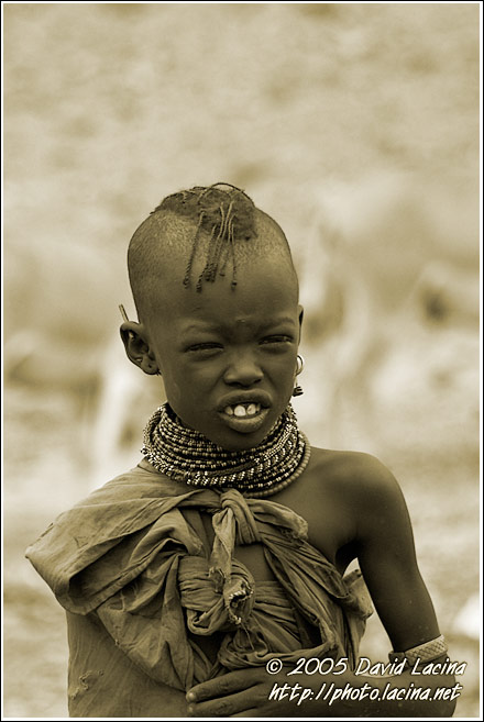 Turkana Shepherd - Turkana Tribe, Kenya