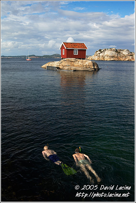 Swimming By Martaholmen - Best of 2005, Norway