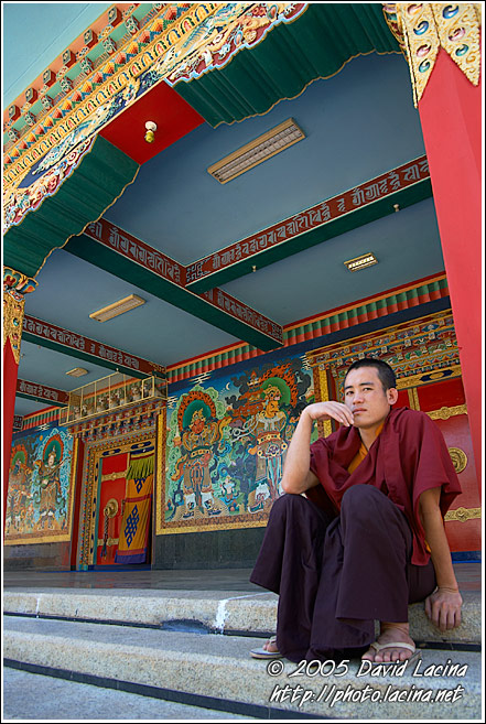 Waiting Monk - Golden Temple, Namdroling Monastery, India