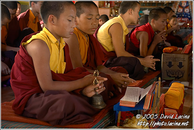 Chanting Monks - Golden Temple, Namdroling Monastery, India