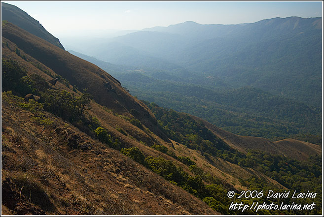 Kodagu Landscape - Kodagu (Coorg) Hills, India