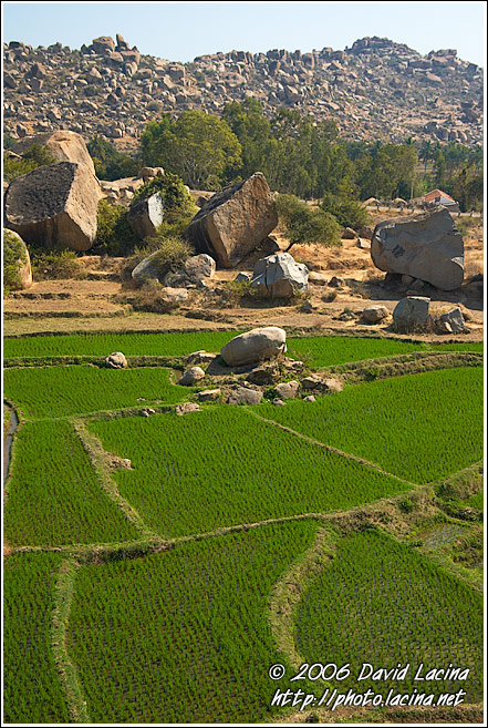 Rice Fields And Moon Landscape - Hampi - Nature, India