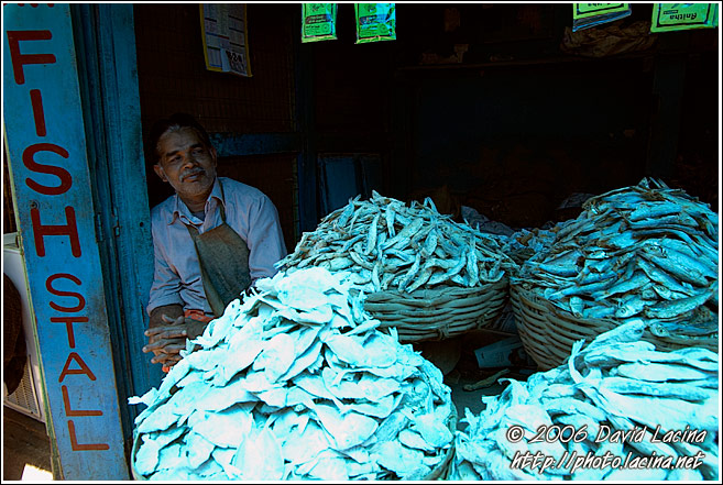 Fish Stall - Ooty, India