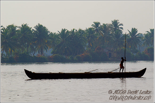 Morning Life On Backwaters - Backwaters, India