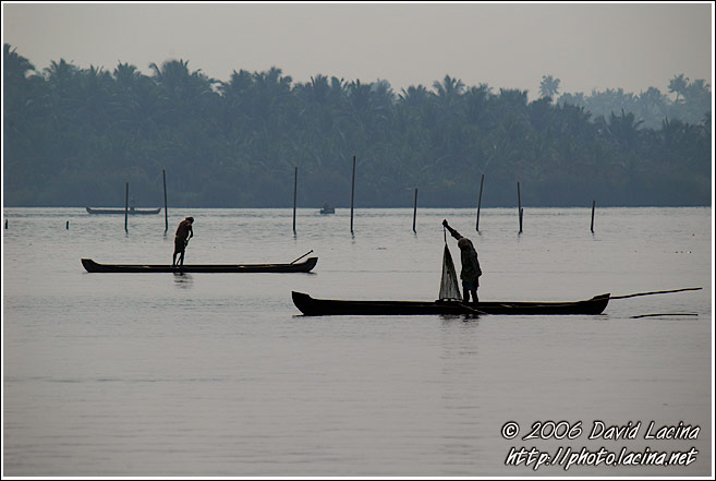 Morning Life On Backwaters - Backwaters, India