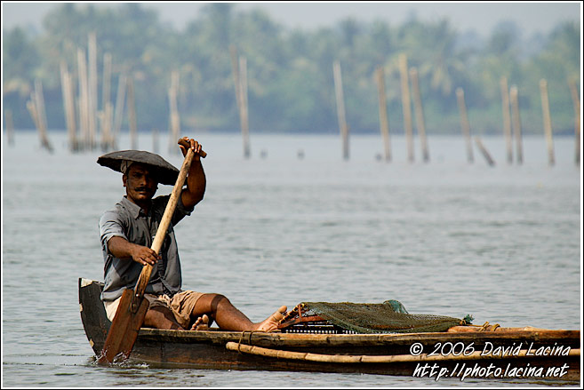 Resident Of Backwaters - Backwaters, India