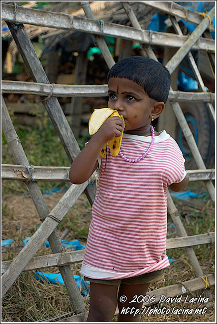 Local Kid - Backwaters, India