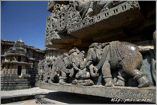 Detail Of Elephant Carving On Hoysaleswara Temple - Belur And Halebid, India