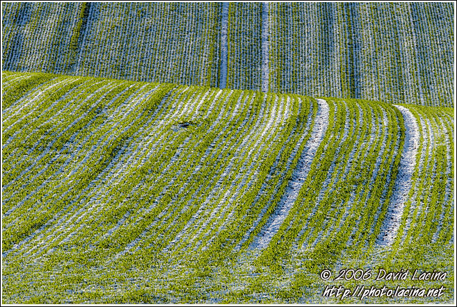 Fields And Snow - Best of 2006, Norway