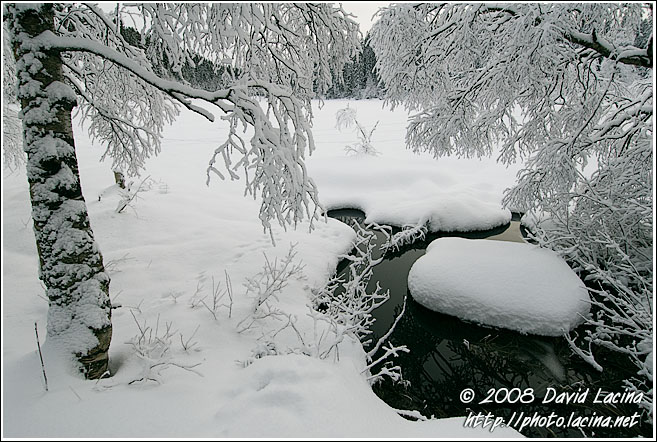 New Snow In Nordmarka - Best of 2007, Norway