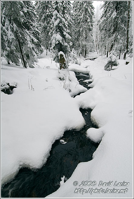 Stream In Nordmarka - Best of 2007, Norway