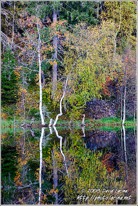 Autumn By Skomakertjern - Autumn in Nordmarka, Norway