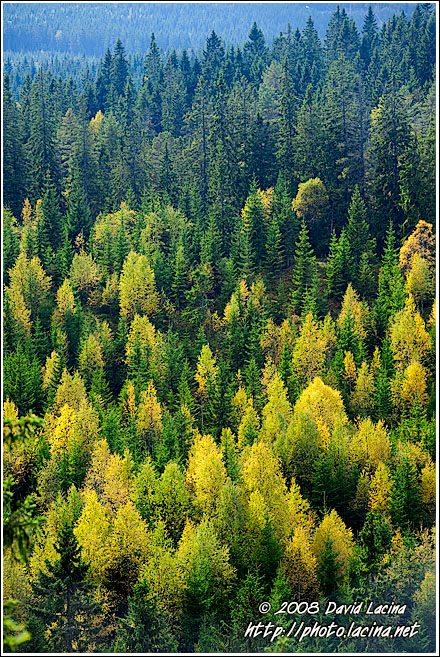 View From Skjennungstua Towards Tryvann - Autumn in Nordmarka, Norway