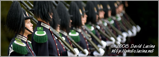 His Majesty The King's Guard - Best Of 2008, Norway