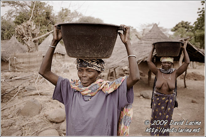 Women Bringing Water To The Village Of Ethiouwar - Bedick Tribe, Senegal
