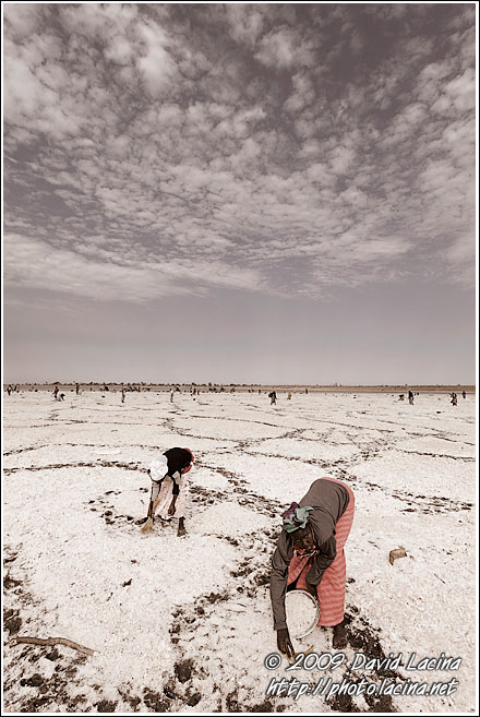 Harvesting Salt - Salt Harvesting, Senegal