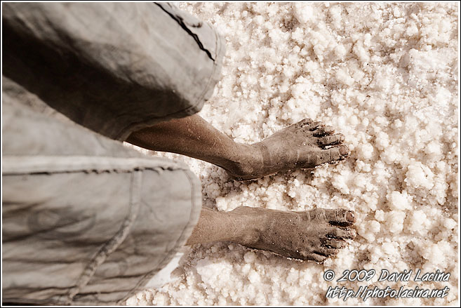 Kid On A Salt Field - Salt Harvesting, Senegal