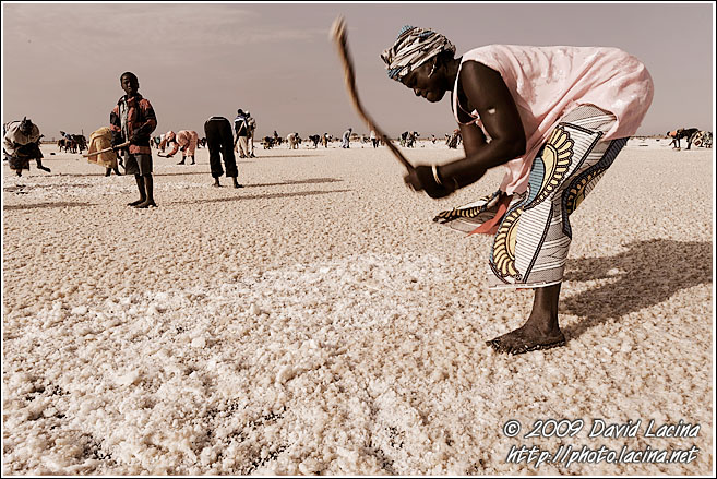 Breaking Down Salt Layer - Salt Harvesting, Senegal