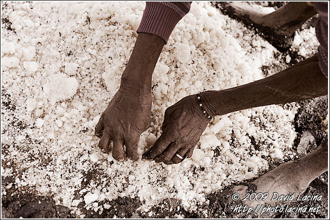Harvesting Salt - Salt Harvesting, Senegal