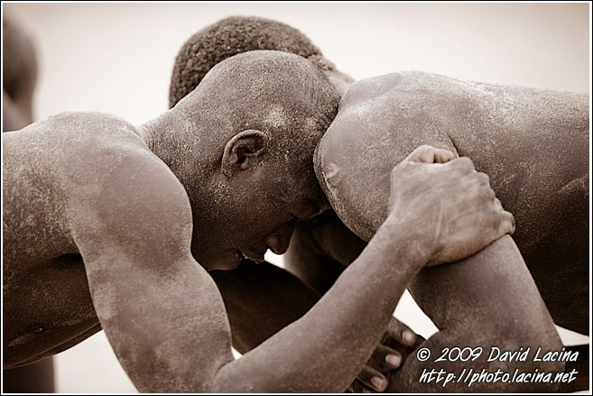 In A Fight - Traditional Wrestling, Senegal