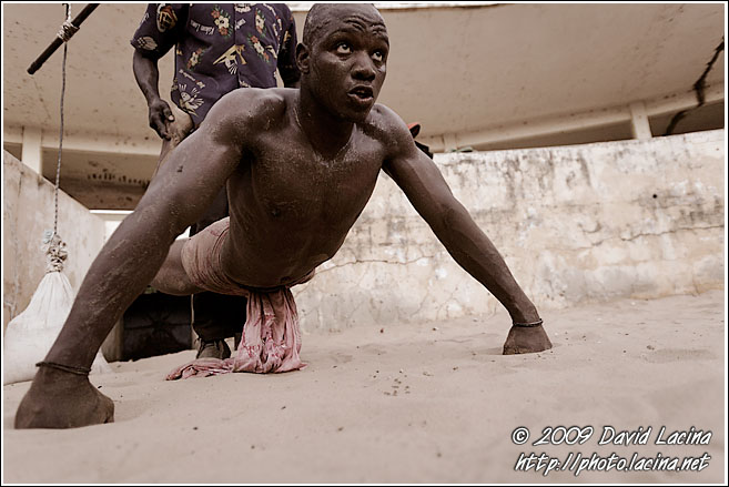 Body Building - Traditional Wrestling, Senegal