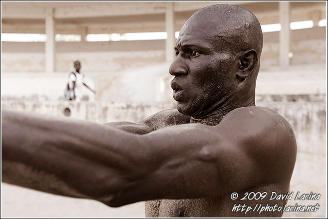 Concentration - Traditional Wrestling, Senegal