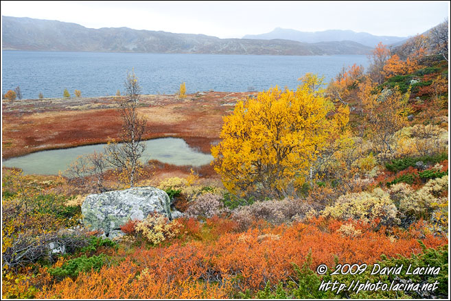 Autumn By Vavatn - Autumn In Hemsedal, Norway