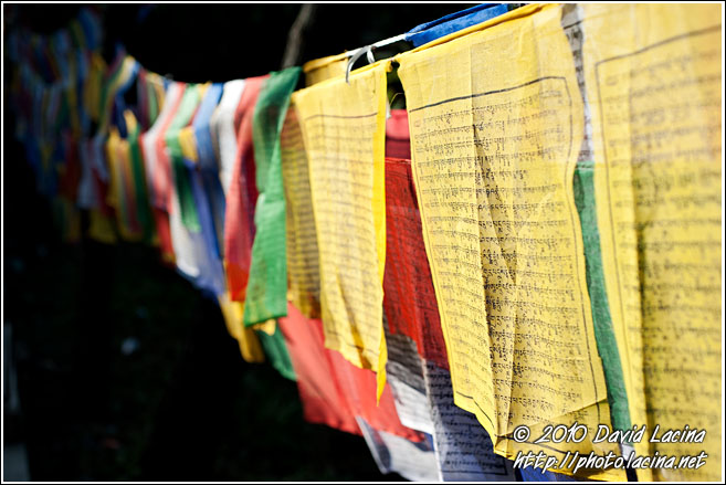 Prayer Flags, Enchey Monastery - Buddhist Sikkim, India