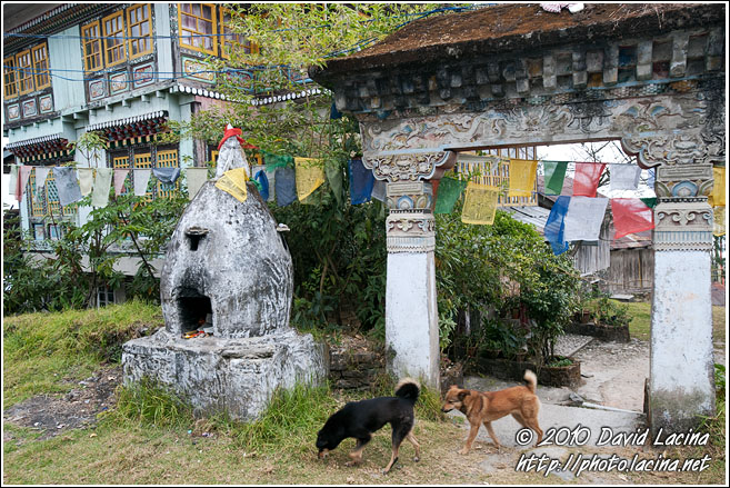 Pemayangtse Monastery - Buddhist Sikkim, India