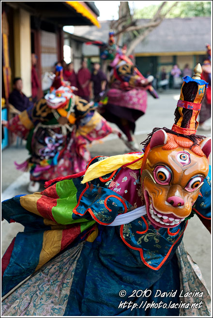 Dancing Masks - Cham Dance, India